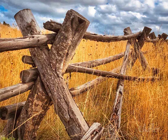 Montana fence