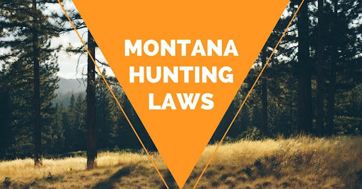 Montana Hunting Laws 2017
